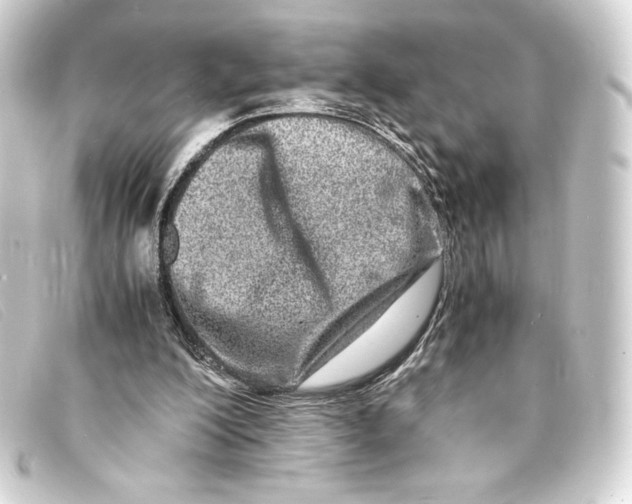 X0000093160200200710241026