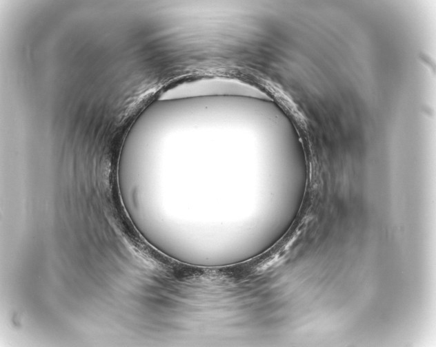 X0000093160201200710241026