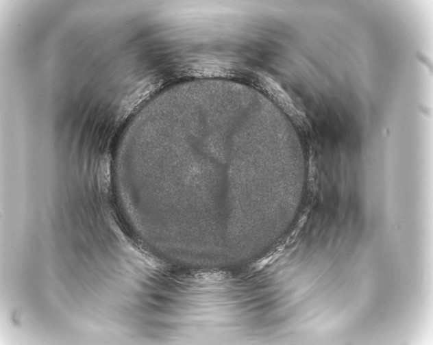 X0000093160202200710241026