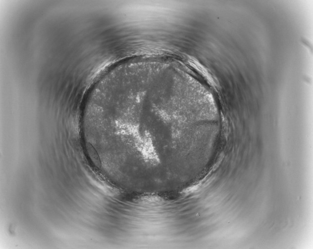 X0000093160203200710241026