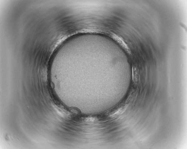 X0000093160204200710241026