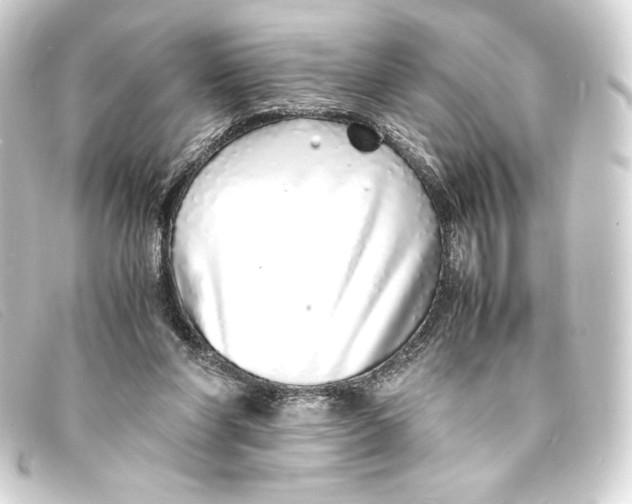 X0000093160206200710241026