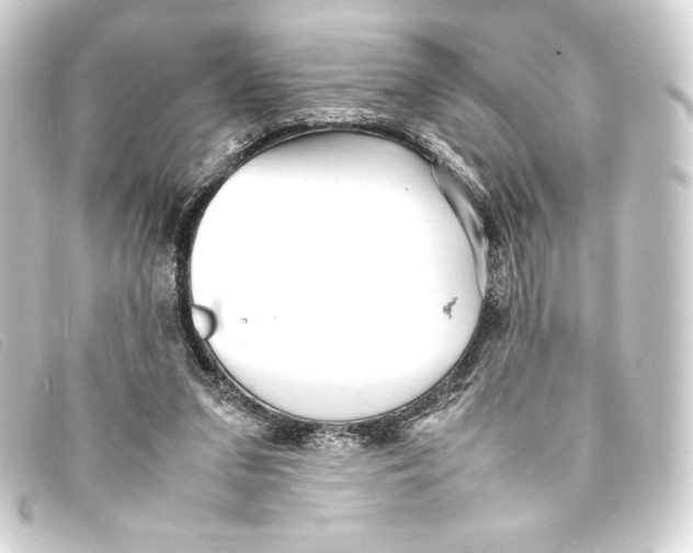 X0000093160207200710241026
