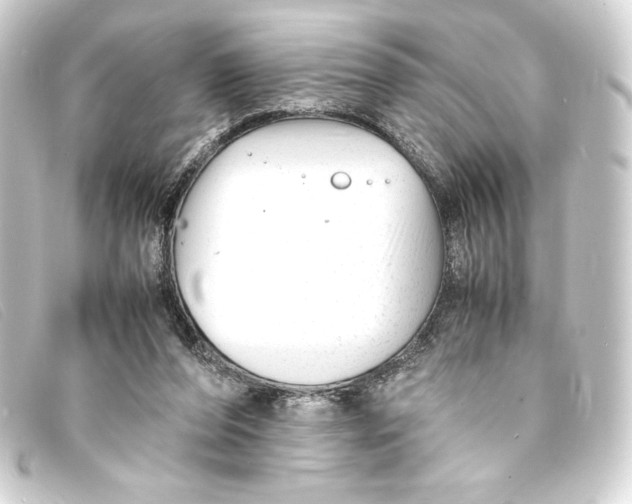 X0000093160208200710241026