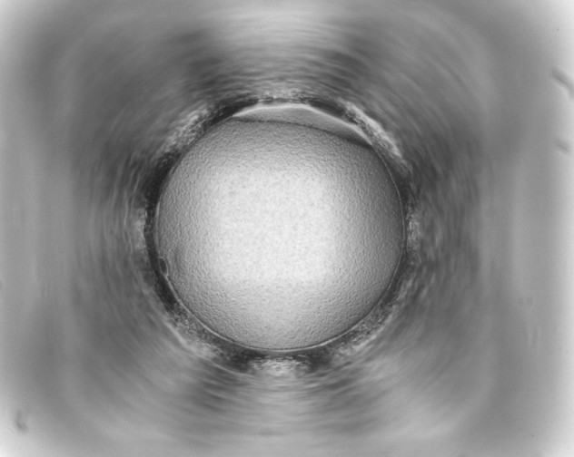 X0000093160209200710241026