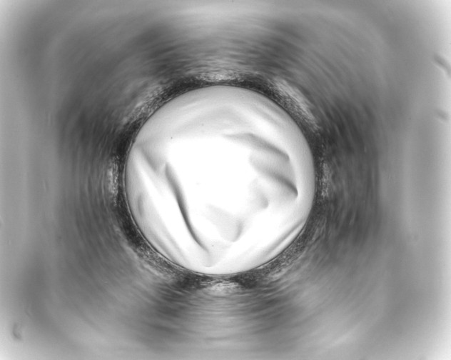 X0000093160210200710241026