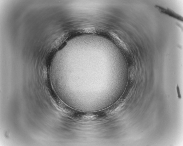 X0000093160213200710241026