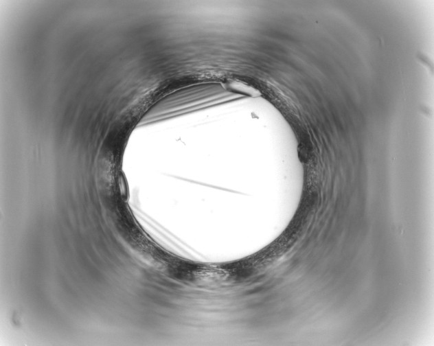 X0000093160215200710241026