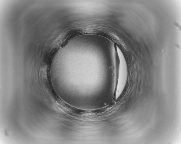X0000093160217200710241026