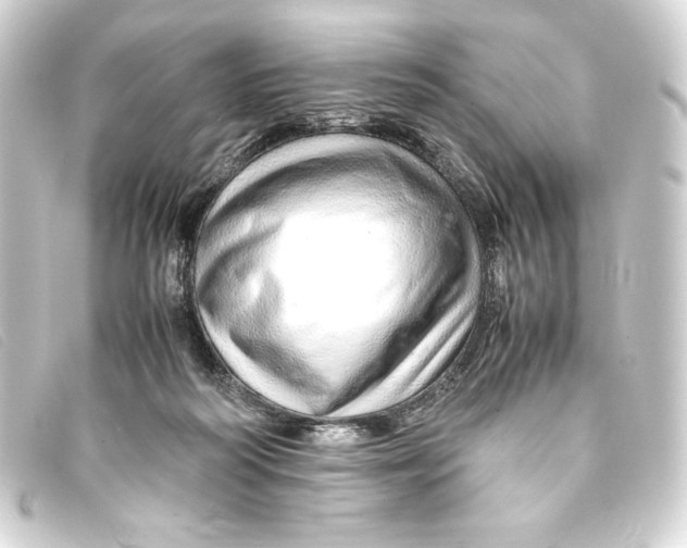 X0000093160218200710241026