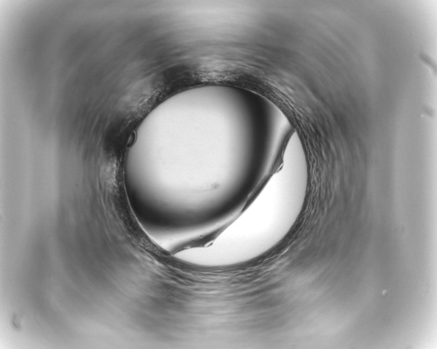 X0000093160219200710241026