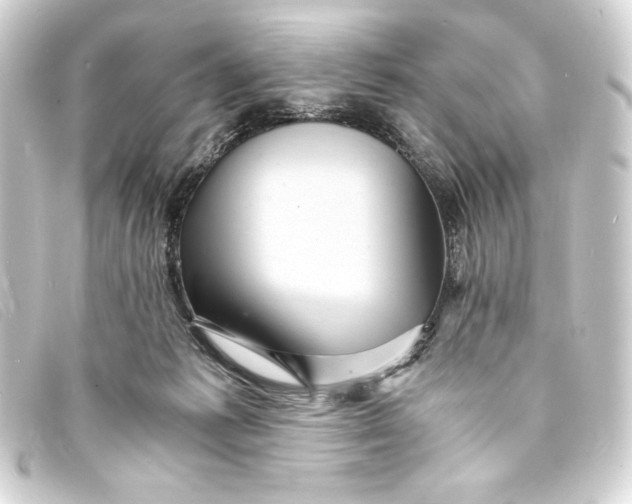 X0000093160221200710241026