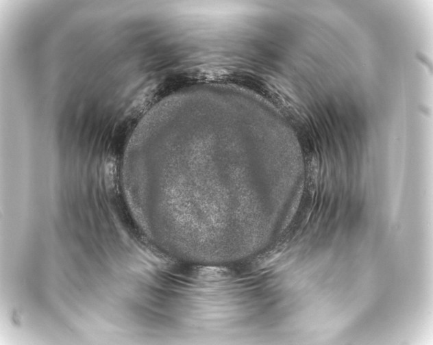 X0000093160222200710241026