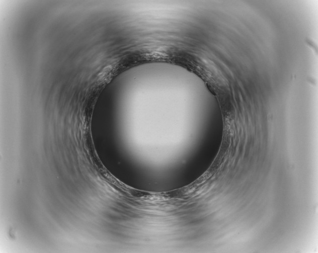 X0000093160223200710241026