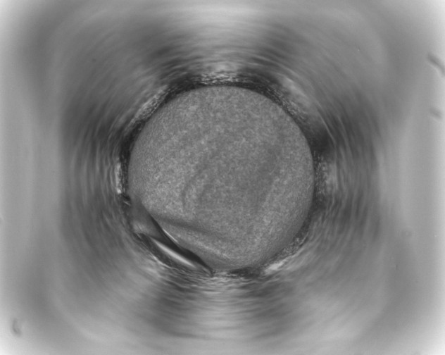 X0000093160224200710241026