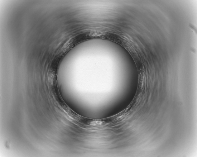 X0000093160227200710241026