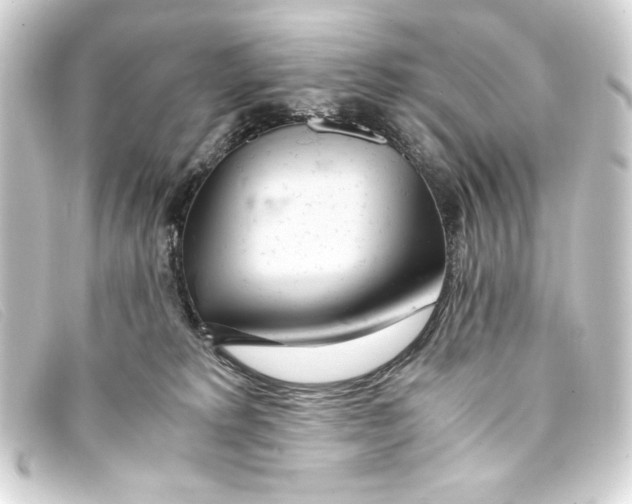 X0000093160229200710241026