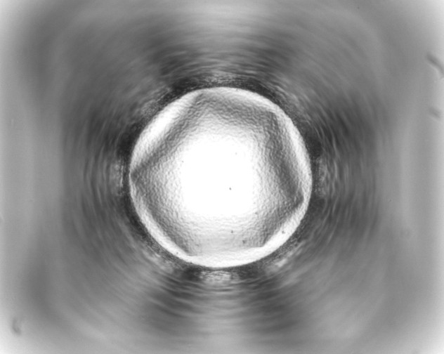 X0000093160230200710241026