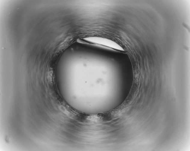 X0000093160231200710241026