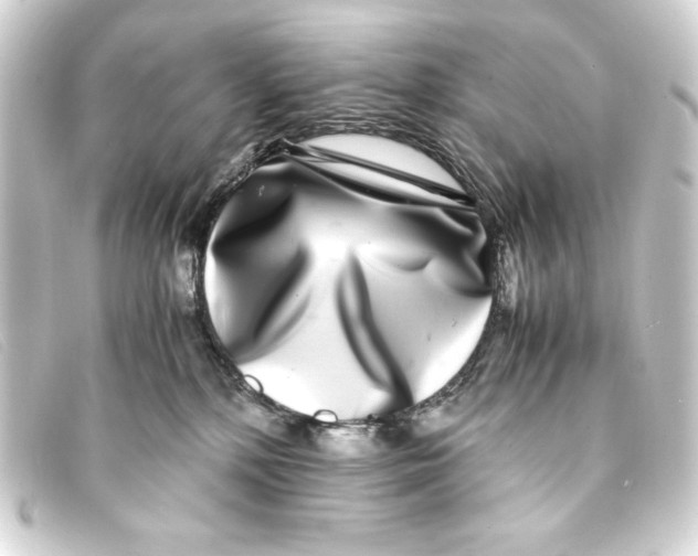 X0000093160232200710241026
