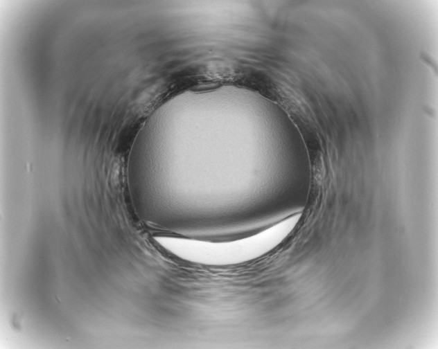 X0000093160233200710241026