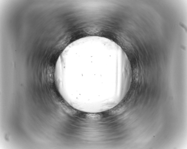 X0000093160234200710241026