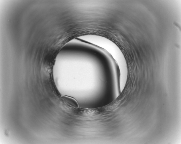 X0000093160235200710241026