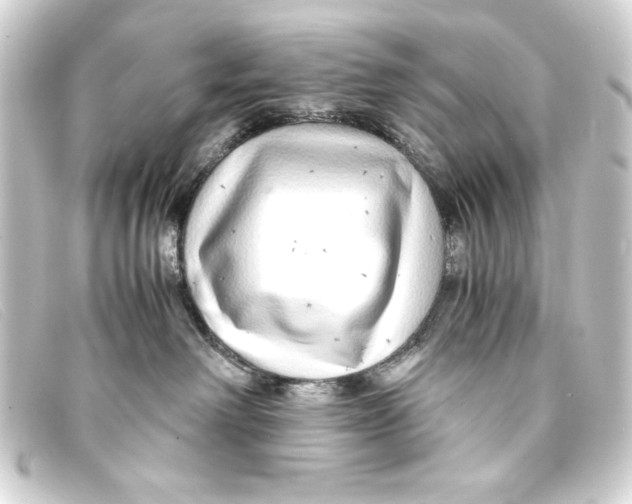 X0000093160238200710241026
