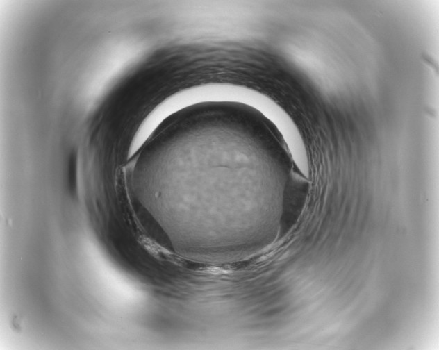 X0000093160239200710241026