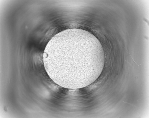 X0000093160240200710241026