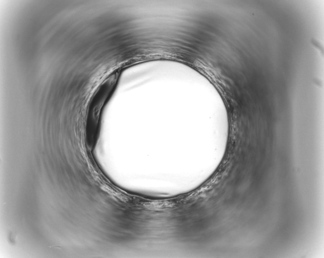 X0000093160241200710241025