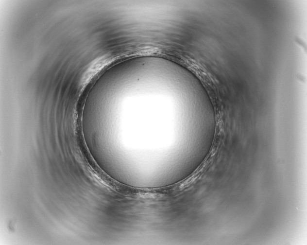 X0000093160242200710241025