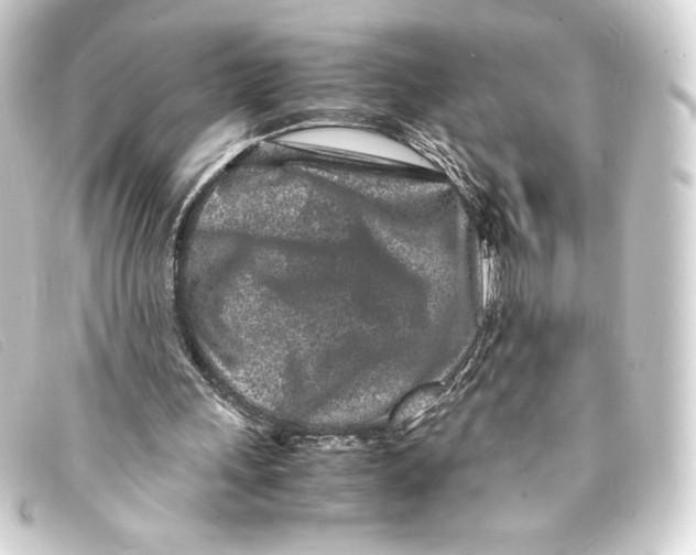 X0000093160243200710241025