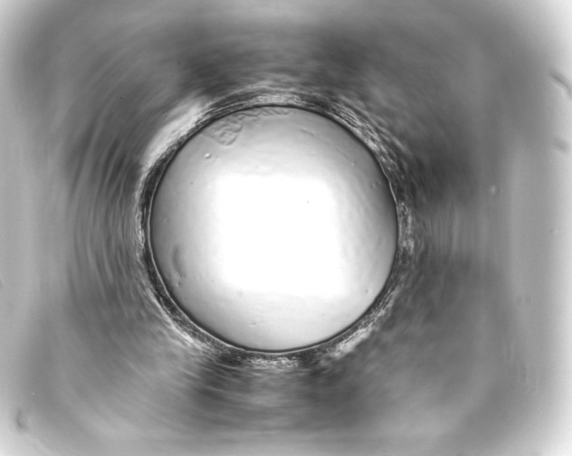 X0000093160245200710241025