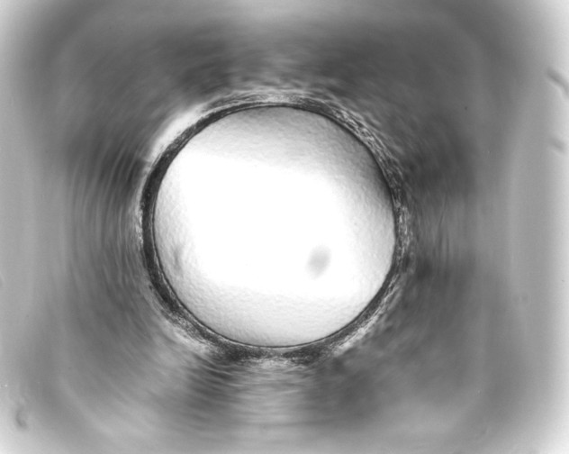 X0000093160246200710241025