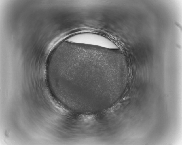 X0000093160247200710241025