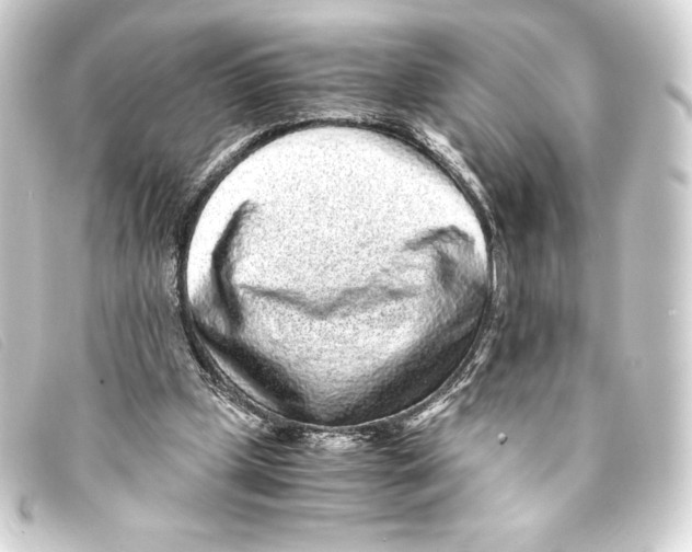 X0000093160249200710241025