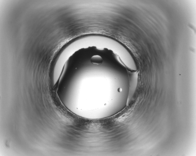 X0000093160252200710241025