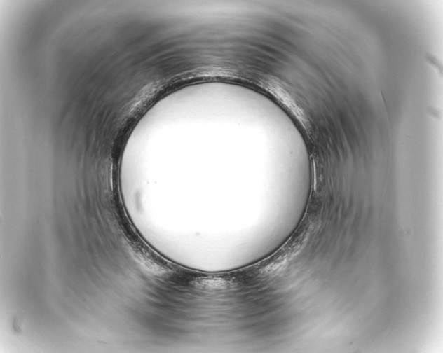 X0000093160253200710241025