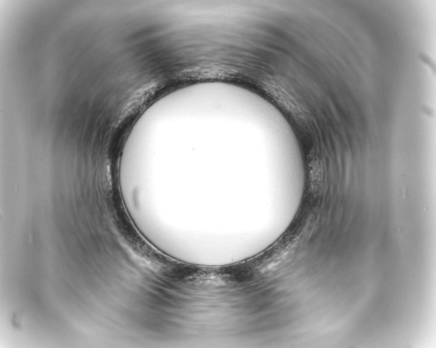 X0000093160254200710241025