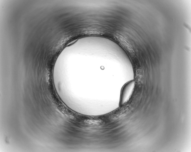X0000093160255200710241025