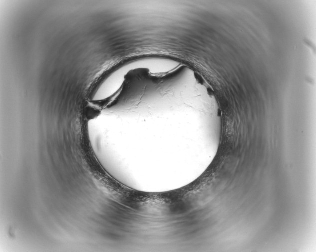 X0000093160256200710241025