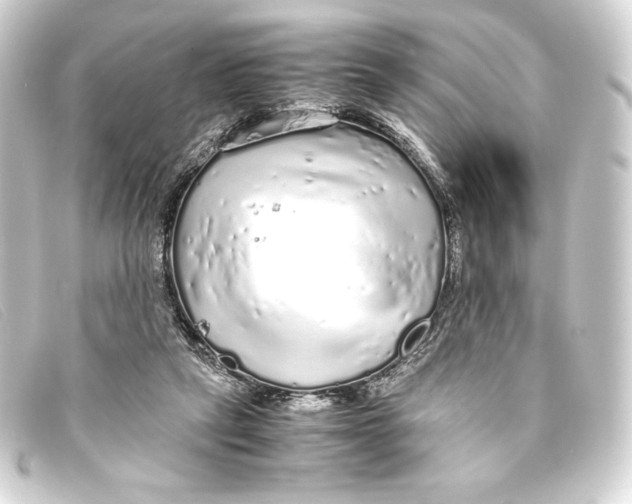 X0000093160257200710241025
