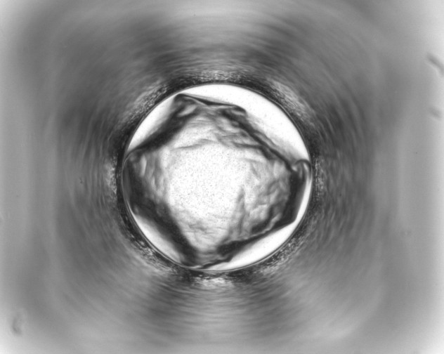 X0000093160258200710241025