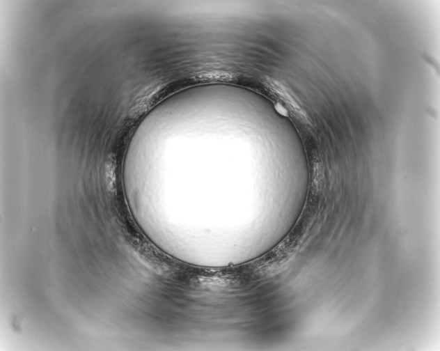 X0000093160259200710241025