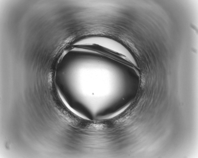 X0000093160260200710241025