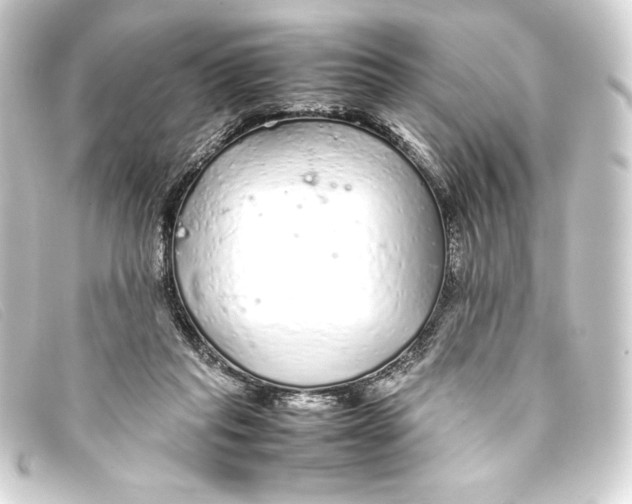 X0000093160261200710241025