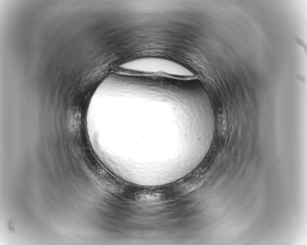 X0000093160263200710241025