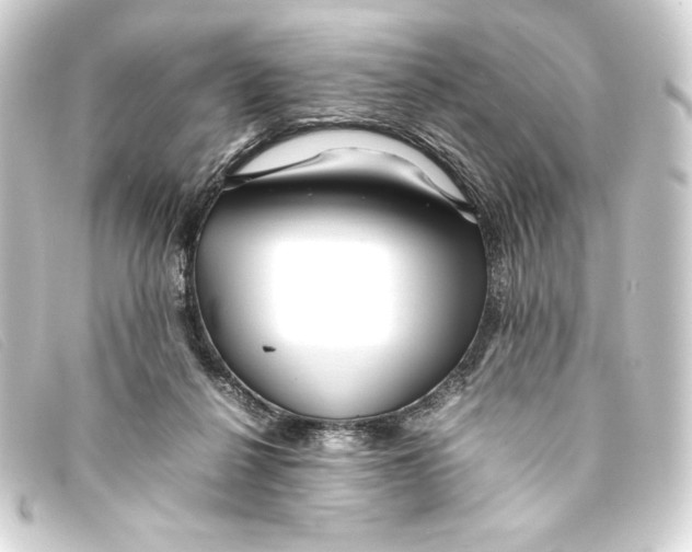 X0000093160264200710241025