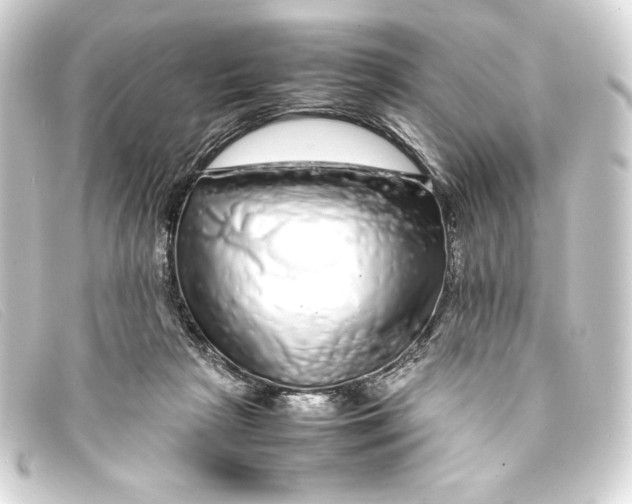 X0000093160265200710241025